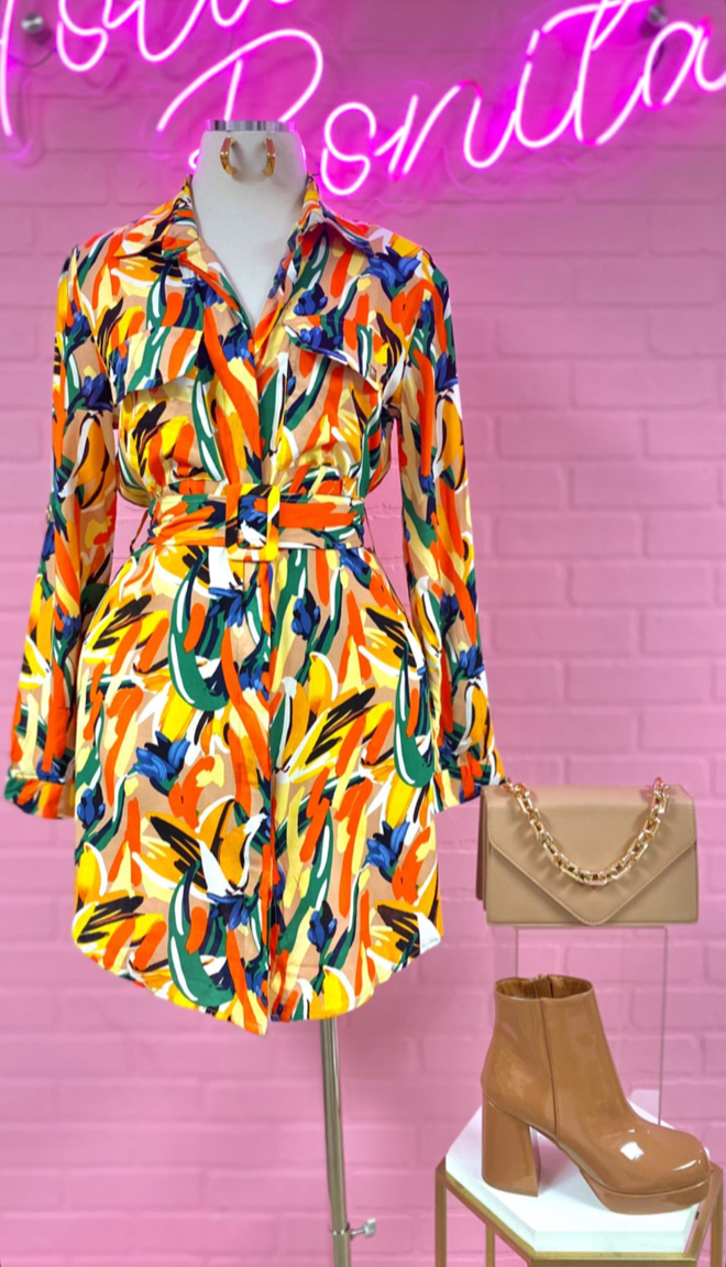 Fall Button Up Dress