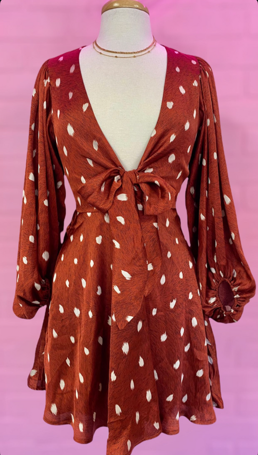 Rust Flared Dress