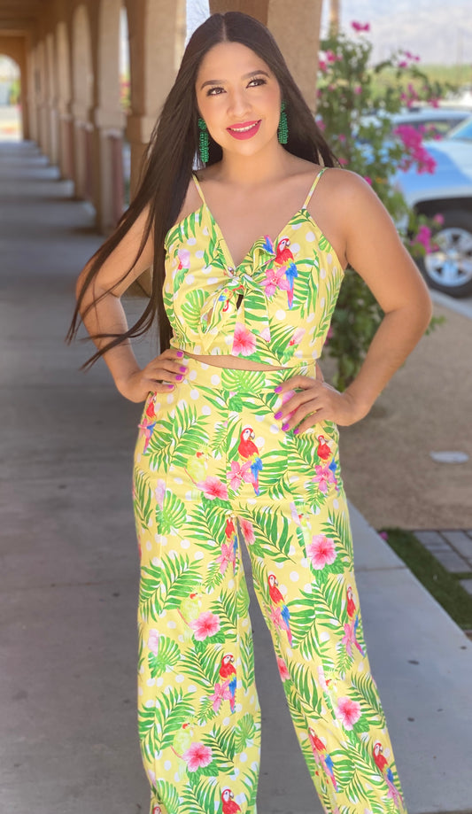 2 Piece Pant Set