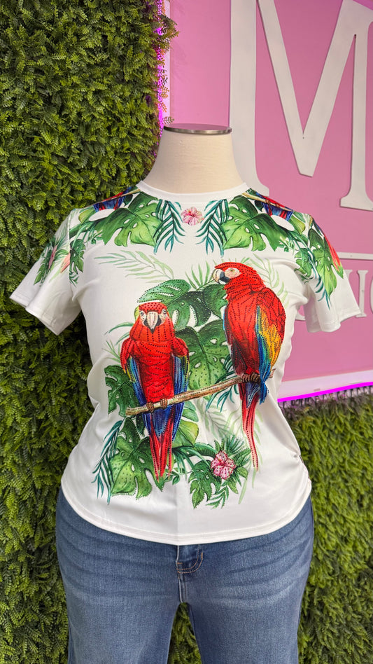 White Graphic Top (Curvy)