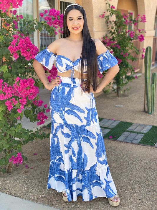 2 Piece Skirt Set